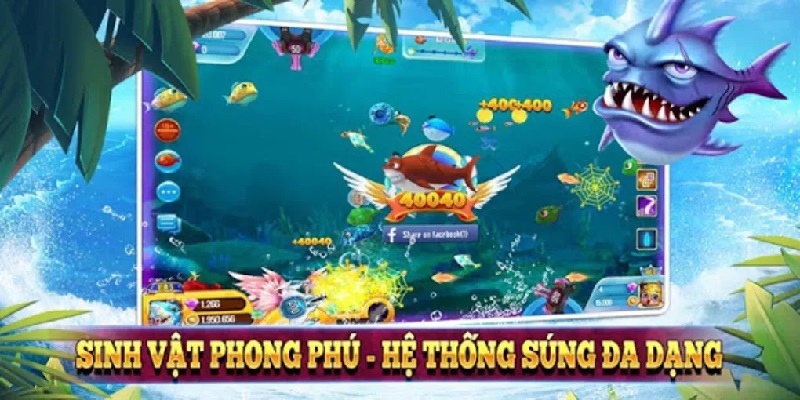 TOP 1 các loại bán cá TOP 1 các loại bán cá