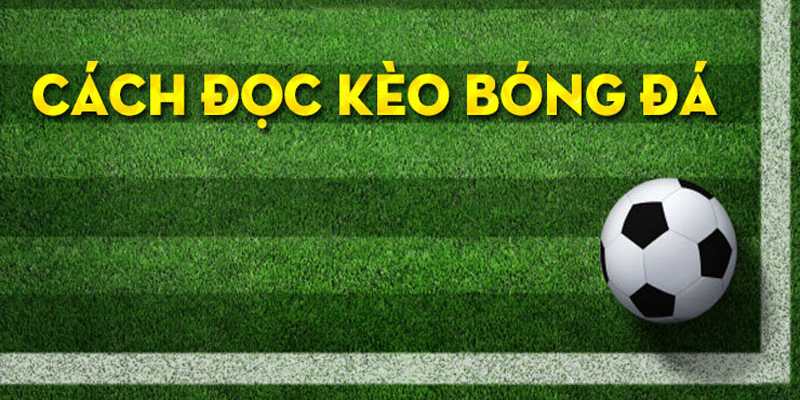 Theo dõi thông tin về thể loại cá cược 1.25 liên tục Theo dõi thông tin về thể loại cá cược 1.25 liên tục