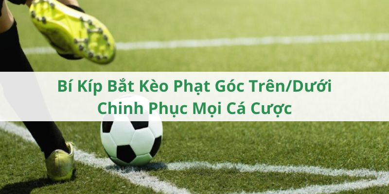Bỏ vốn đầu tư kèo dưới trong bóng đá theo hình thức tài xỉu Bỏ vốn đầu tư kèo dưới trong bóng đá theo hình thức tài xỉu