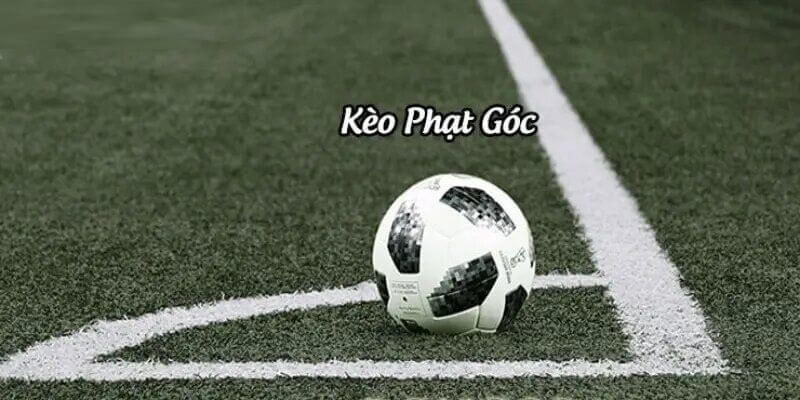 Kèo Even/Odd hot hit trên thị trường Kèo Even/Odd hot hit trên thị trường