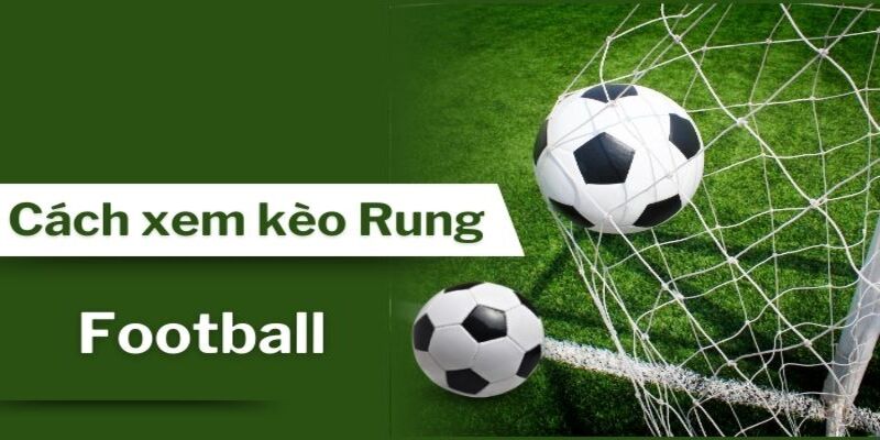 Người mới nên biết cách đánh kèo rung là gì? Người mới nên biết cách đánh kèo rung là gì?